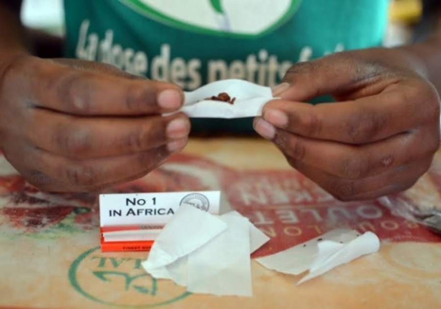 Toumodi: les populations appellent les autorités à réagir fasse à la consommation de la drogue des jeunes